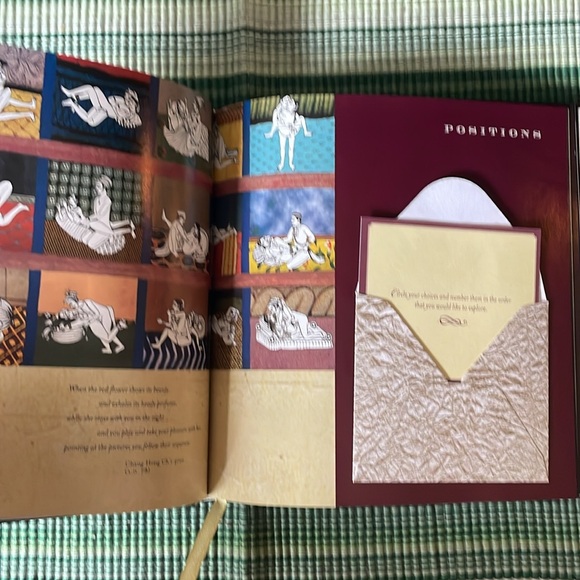 The Fantasy Book - a pillow book for Romantic fantasies - Picture 8 of 15